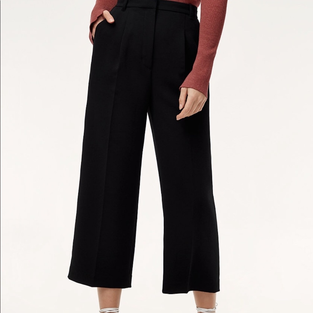 Aritzia Wilfred Pants